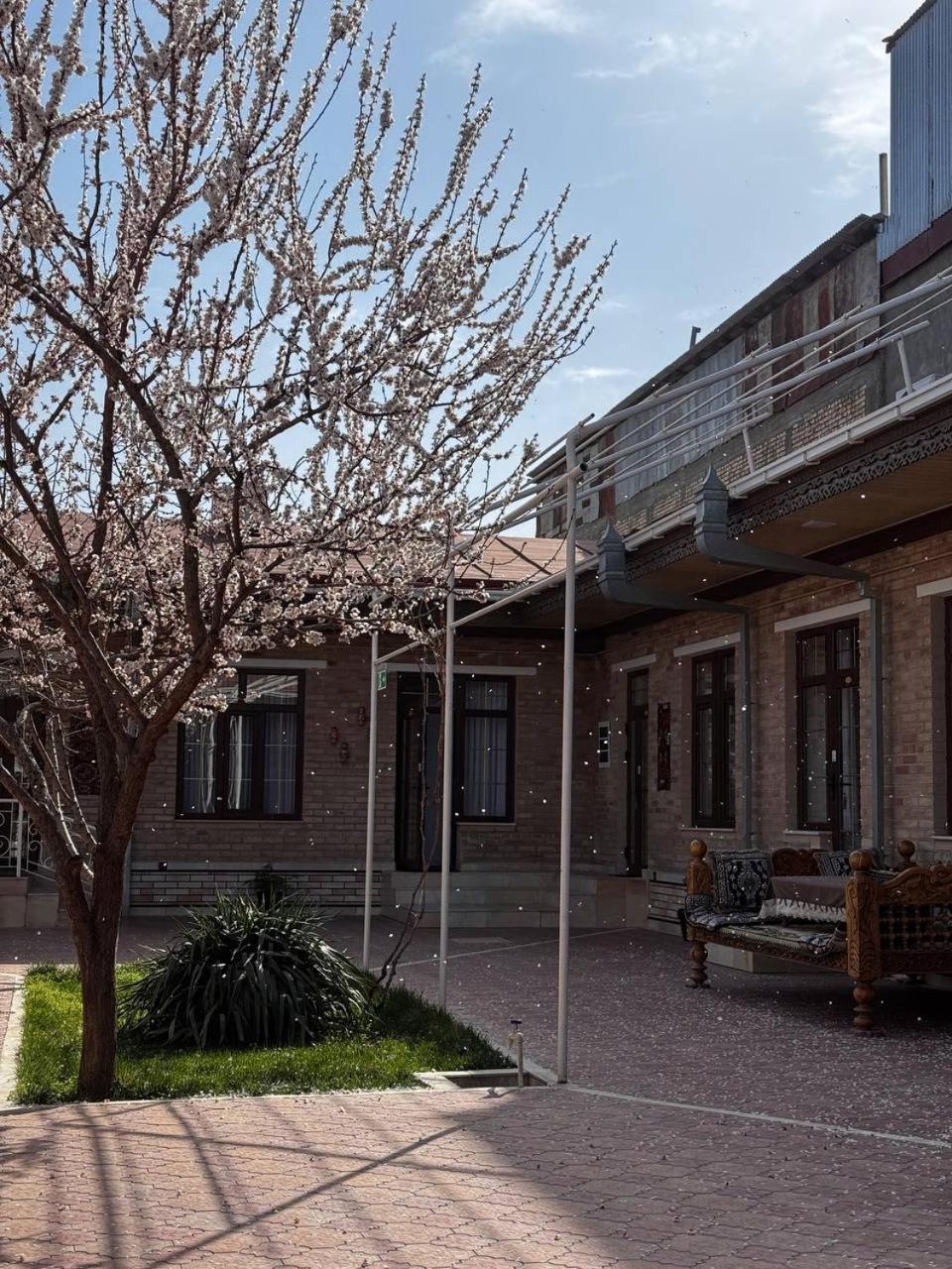 Salomat Guest House Самарканд Екстериор снимка